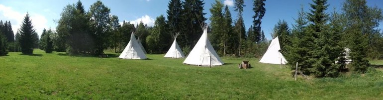 TIPI