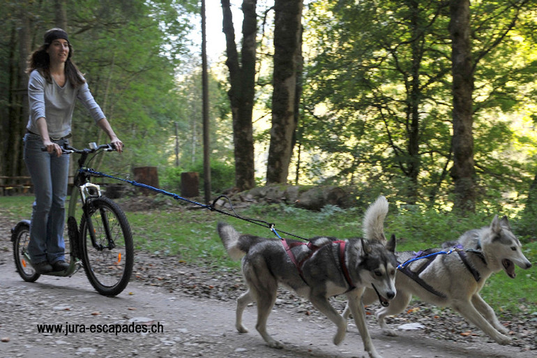 husky-bike