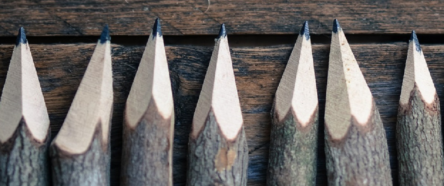 Set of pencils stylized tree branch on wooden background