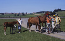 VELO BIKE TOUR