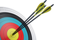 .Arrows hitting the center of target - success business concept