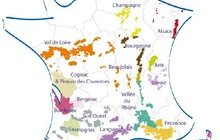 vignobles français