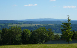 DIE KÄMME VON AJOIE AUF DEM WEG DES GABELOU(ZÖLLNER)