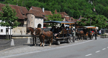 Char attelé et calèche