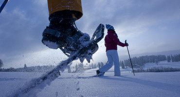 raquette à neige